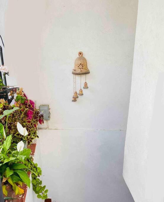 Апартаменти Bonito Y Comodo Departamento En Taxco! Екстер'єр фото